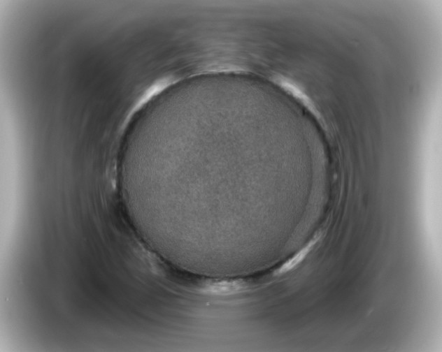 X0000086051165200704091204