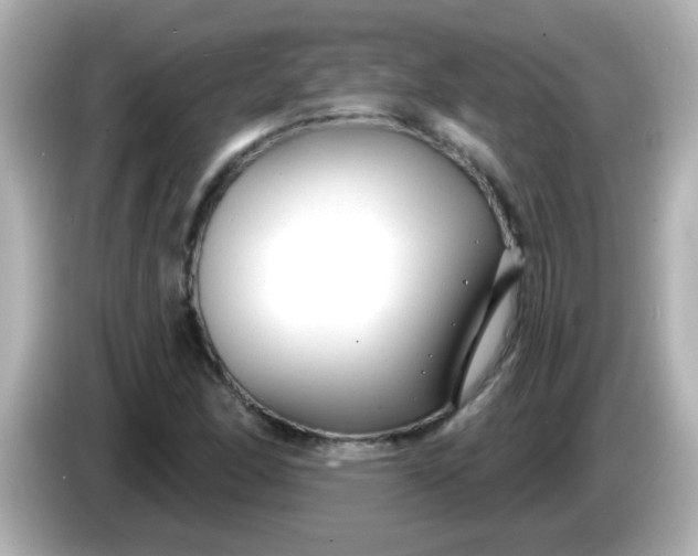 X0000086051166200704091204