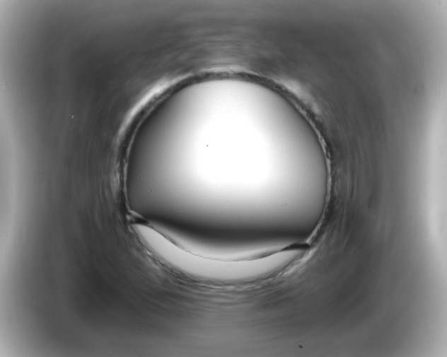 X0000086051167200704091204