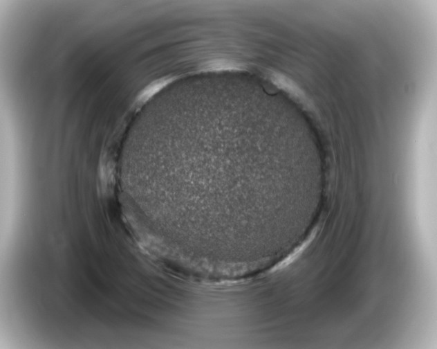 X0000086051169200704091204