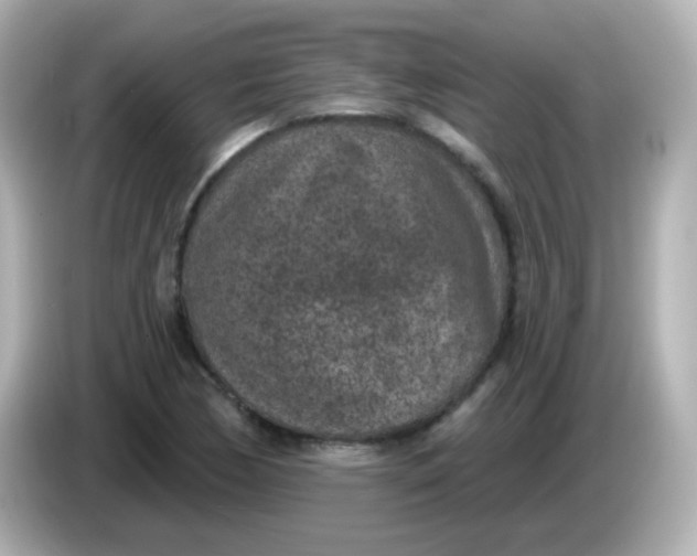 X0000086051170200704091204