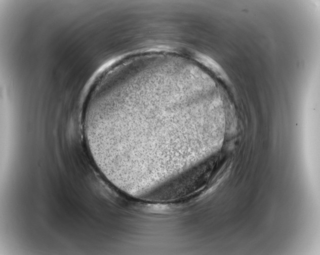 X0000086051172200704091204