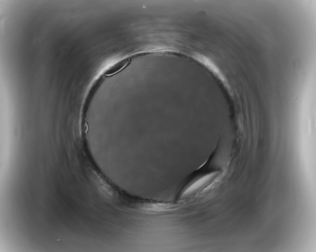 X0000086051173200704091204