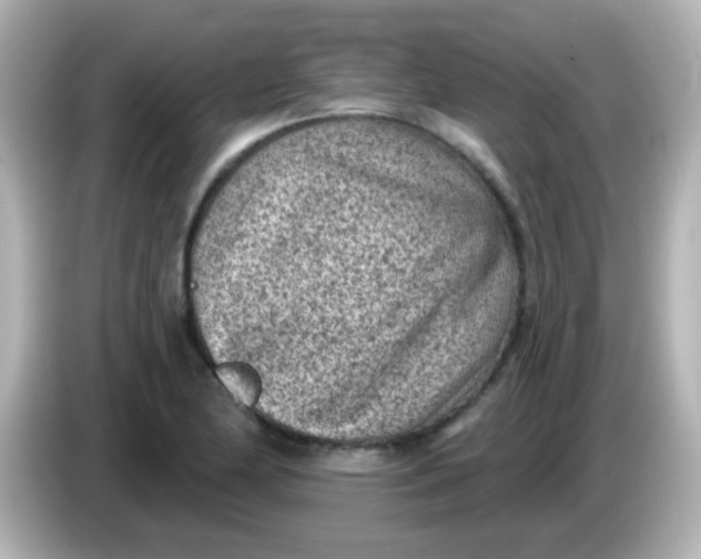 X0000086051174200704091204