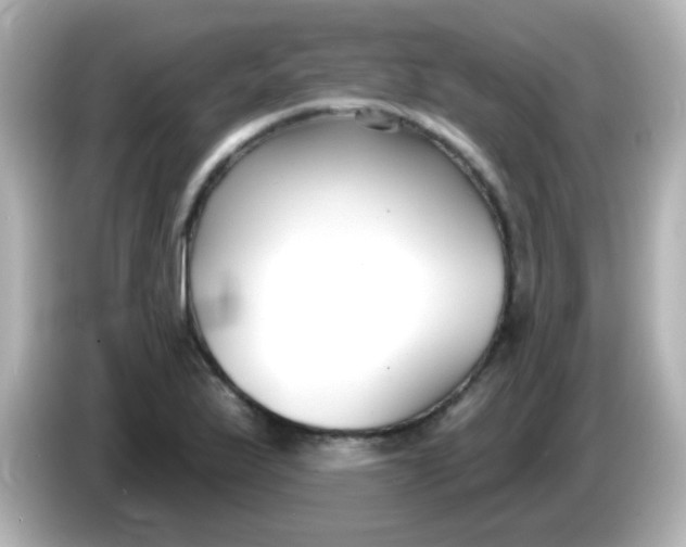 X0000086051175200704091204
