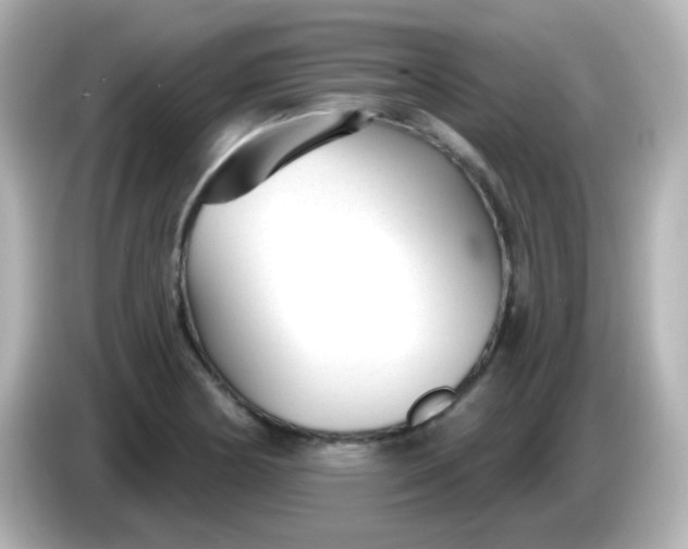 X0000086051178200704091204