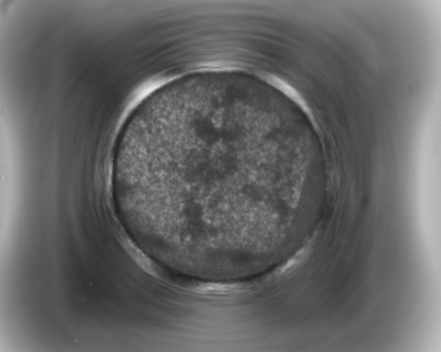 X0000086051179200704091204