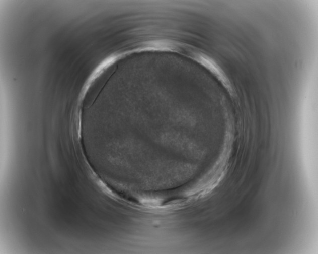 X0000086051180200704091204