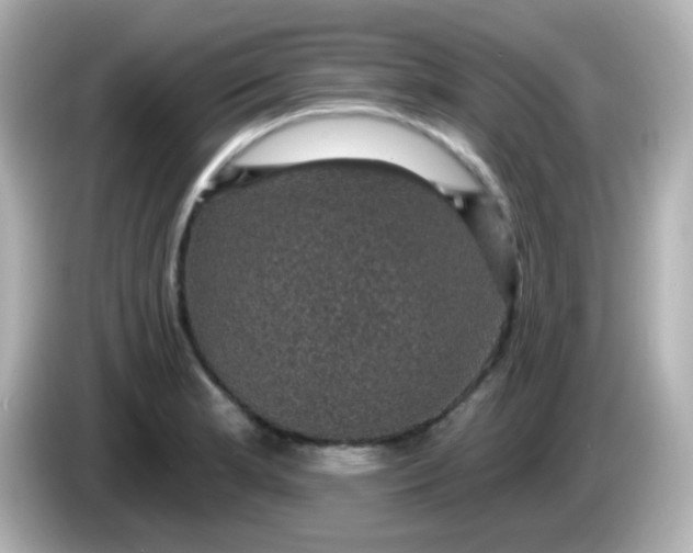 X0000086051181200704091204