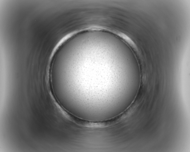 X0000086051183200704091204