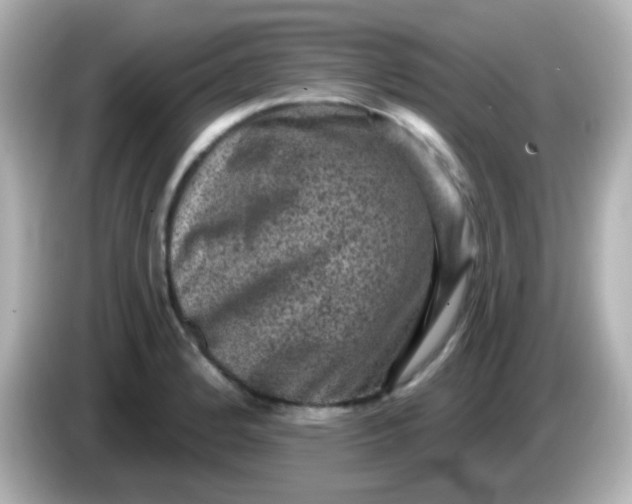 X0000086051184200704091204