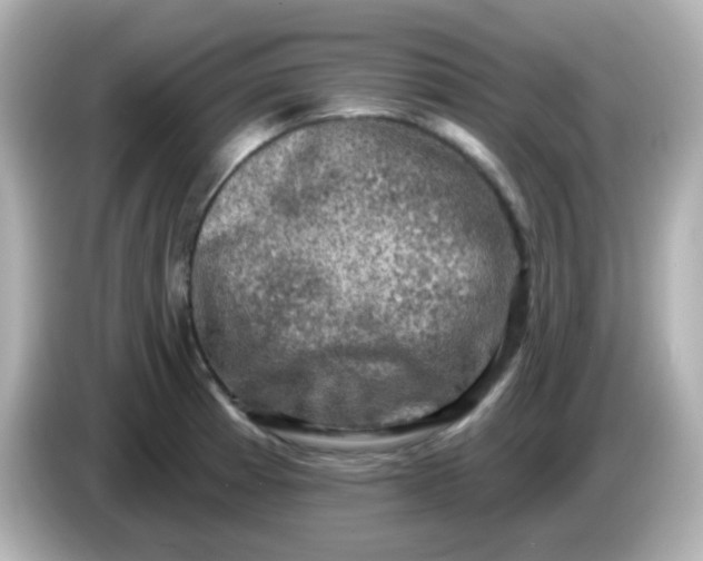 X0000086051185200704091204