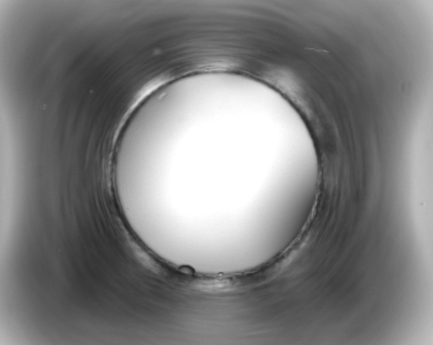X0000086051186200704091204