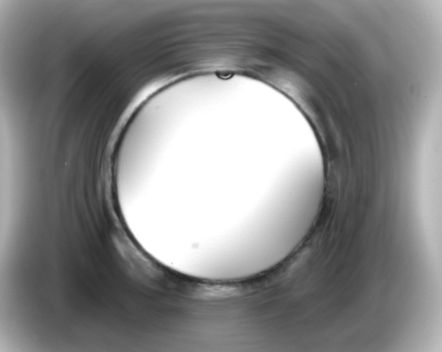 X0000086051187200704091204