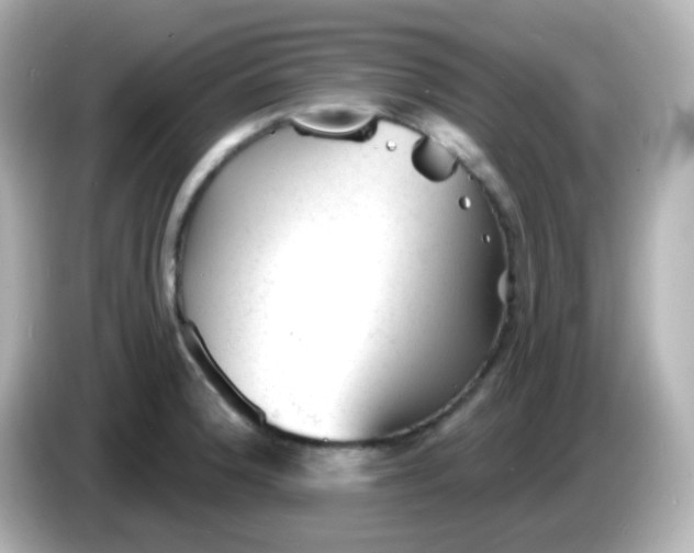 X0000086051188200704091204