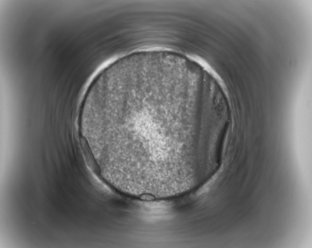 X0000086051189200704091204
