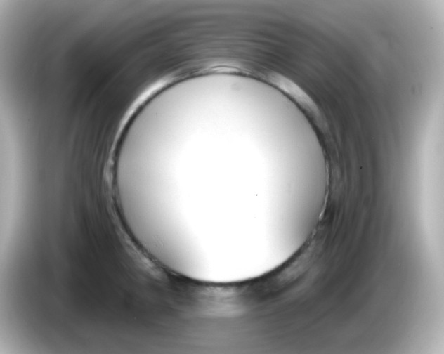 X0000086051190200704091204