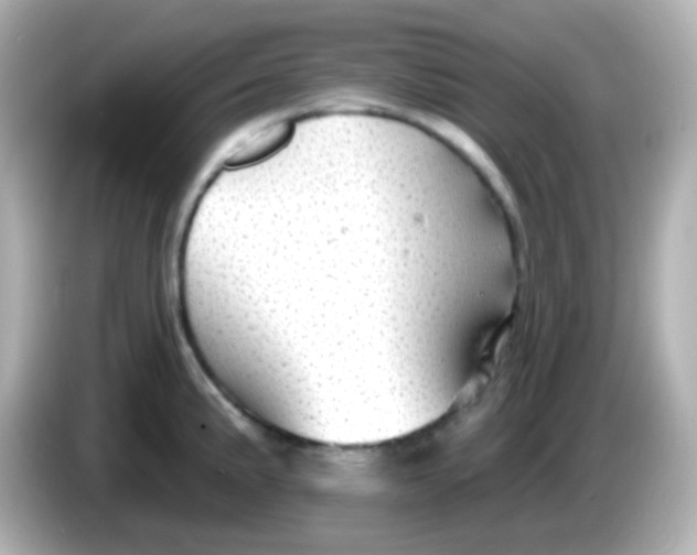 X0000086051191200704091204