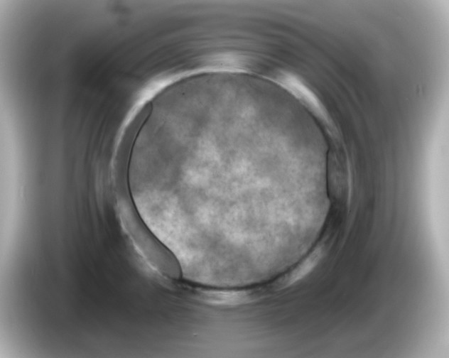 X0000086051192200704091204