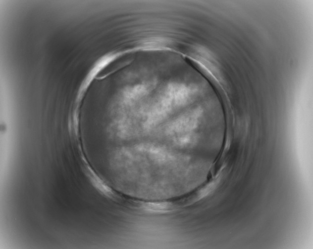 X0000086051196200704091204