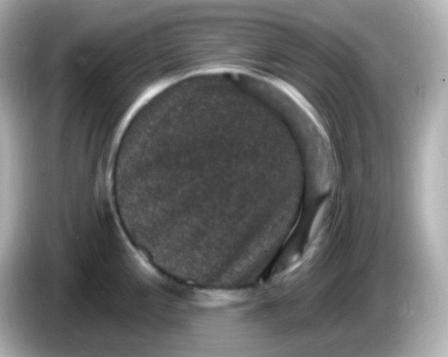 X0000086051197200704091204