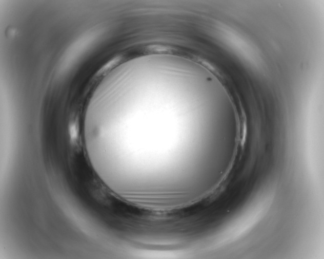 X0000086051198200704091204