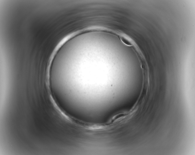 X0000086051199200704091204