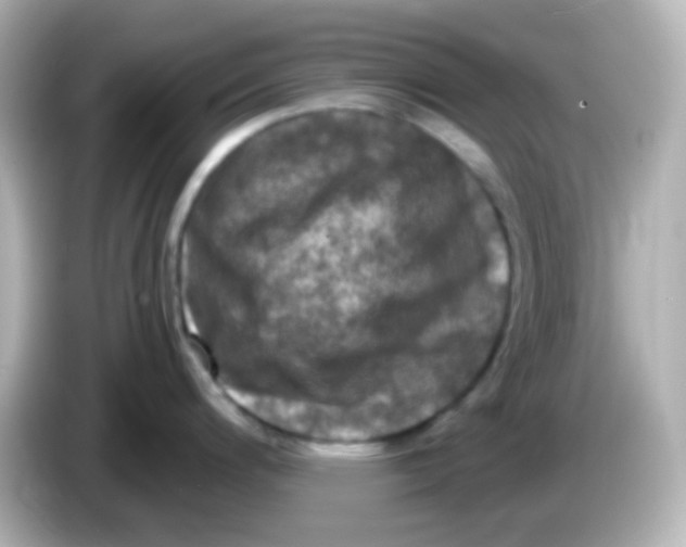 X0000086051200200704091204