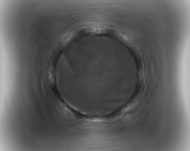 X0000086051202200704091203