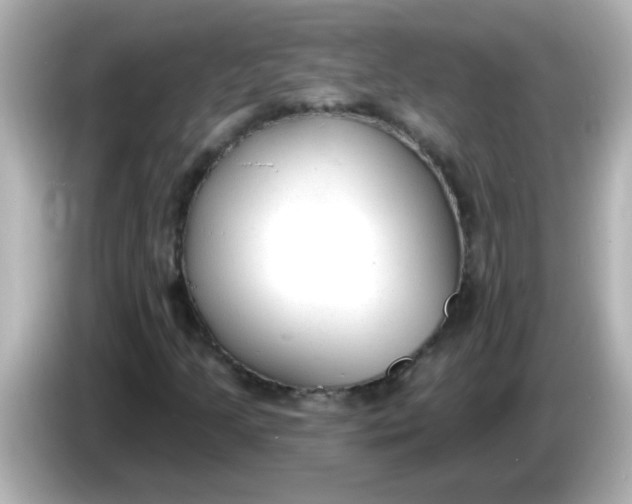 X0000086051205200704091203