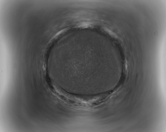 X0000086051206200704091203
