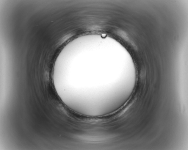 X0000086051209200704091203
