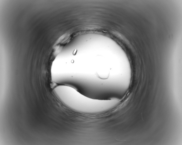 X0000086051210200704091203