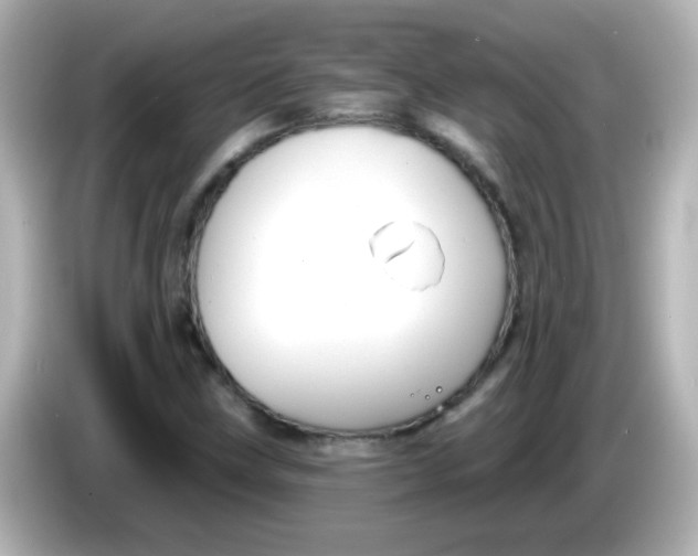X0000086051211200704091203