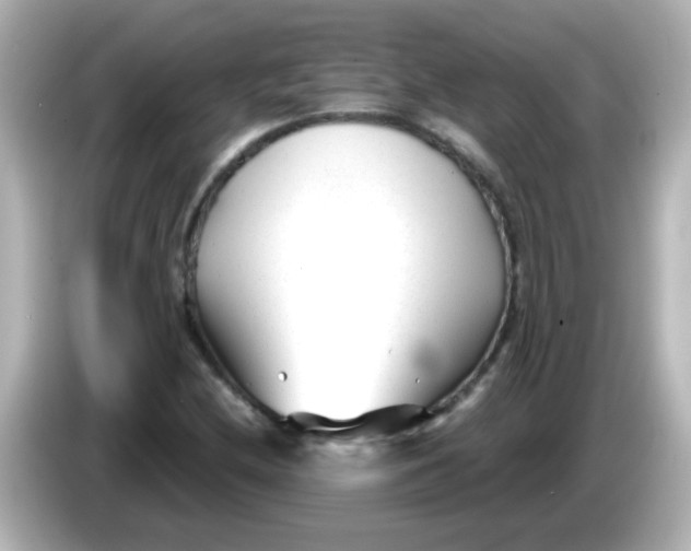 X0000086051212200704091203