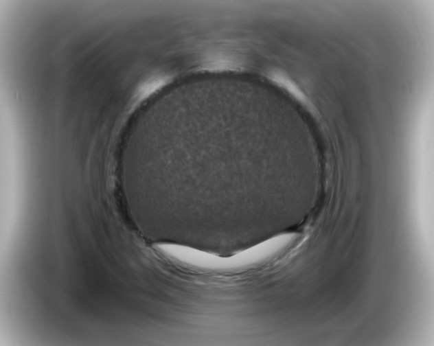 X0000086051213200704091203