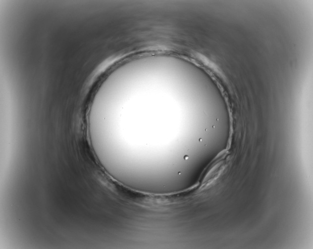 X0000086051215200704091203