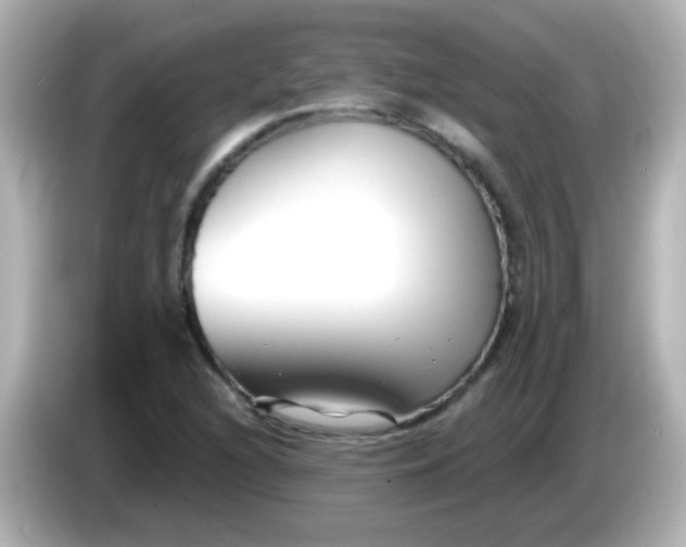 X0000086051216200704091203