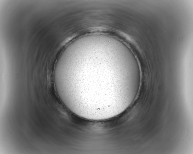 X0000086051217200704091203
