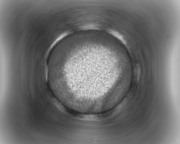 X0000086051219200704091203