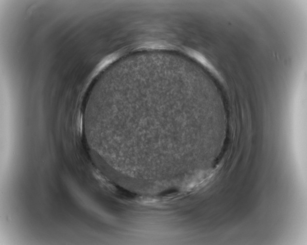 X0000086051221200704091203
