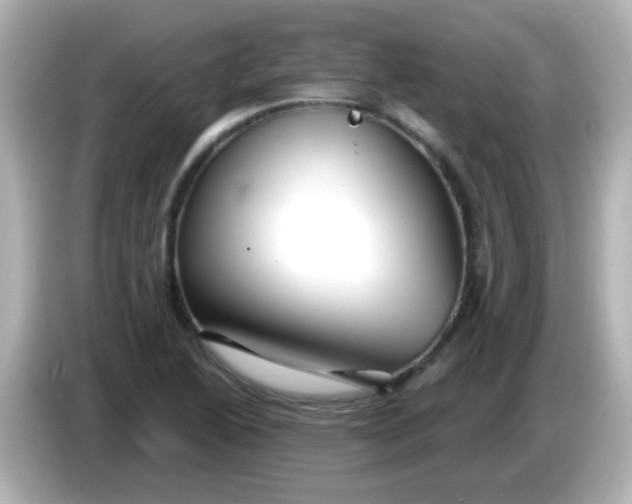 X0000086051222200704091203