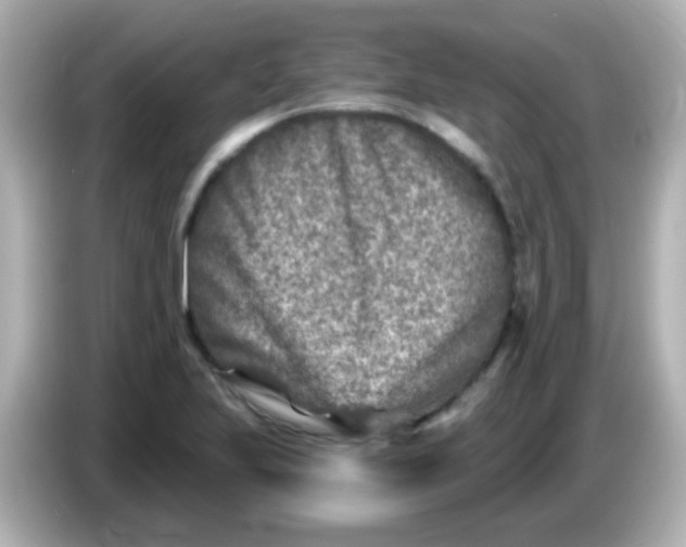 X0000086051223200704091203