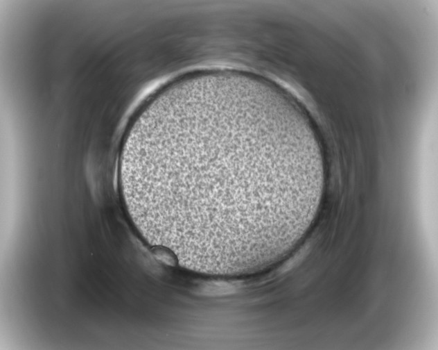 X0000086051224200704091203