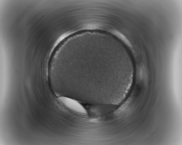 X0000086051226200704091203