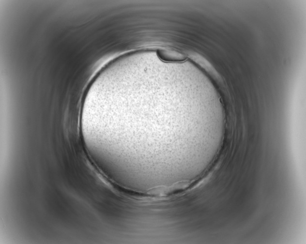 X0000086051228200704091203