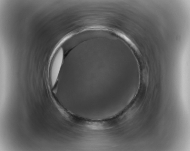 X0000086051229200704091203