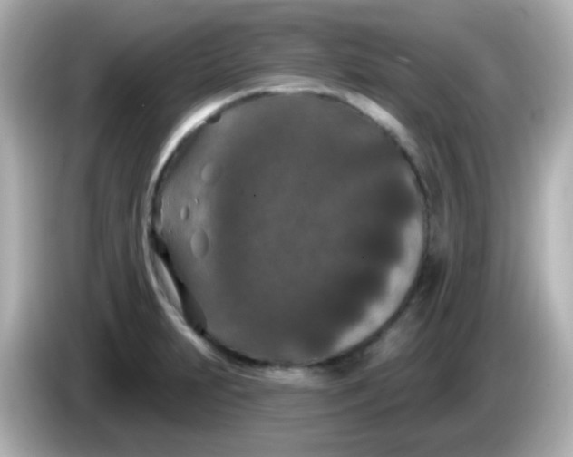 X0000086051231200704091203