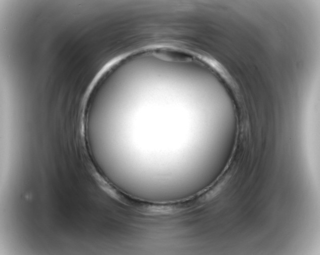 X0000086051232200704091203