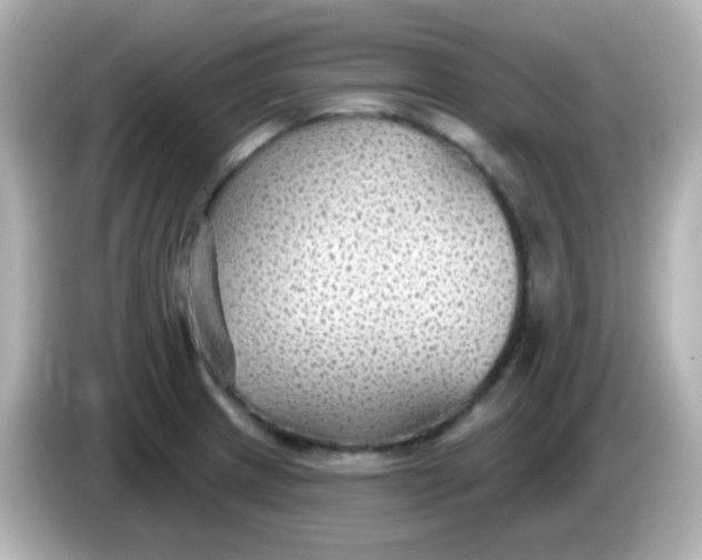 X0000086051233200704091203
